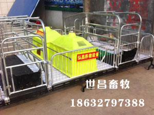 母豬產床