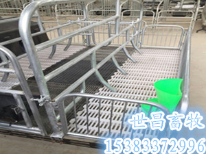 兩個位母豬產床