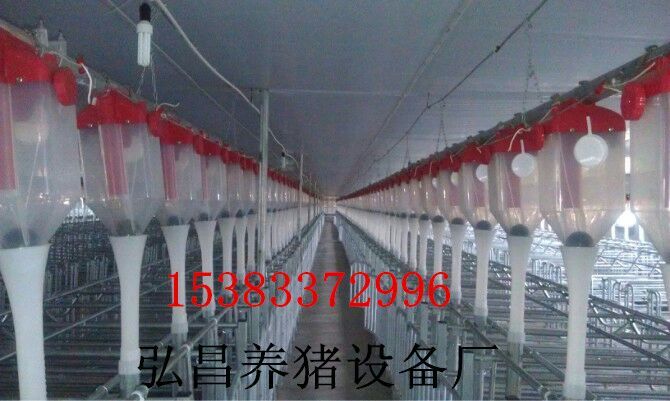 全自動喂料系統(tǒng)