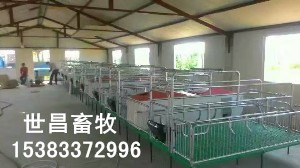 加重產床豬用