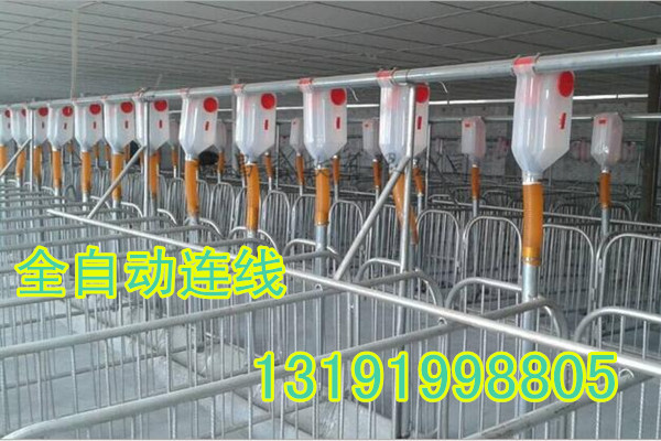 豬場自動化上料系統(tǒng)預(yù)算