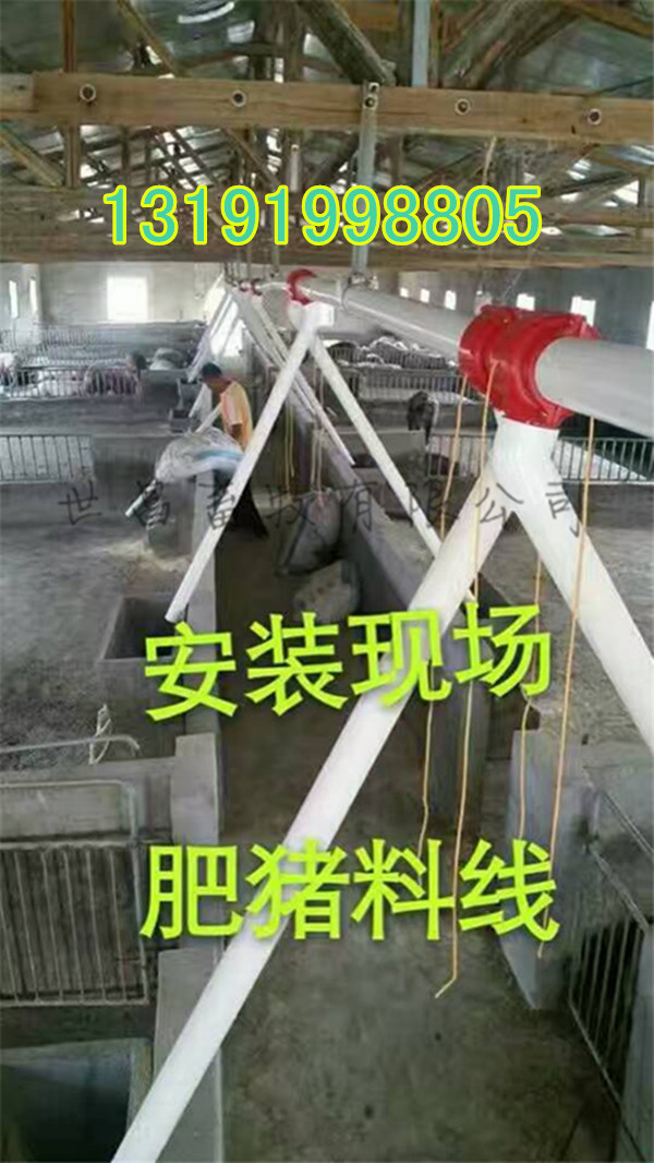 全自動(dòng)化豬場(chǎng)下料系統(tǒng)安裝廠家