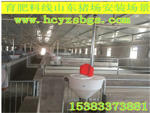 自動喂料系統(tǒng)育肥豬大卷設(shè)計(jì)安裝
