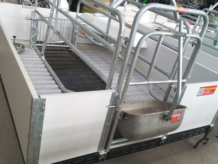 歐式母豬產(chǎn)床圖片及價格