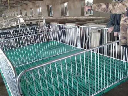 豬場小豬育肥床